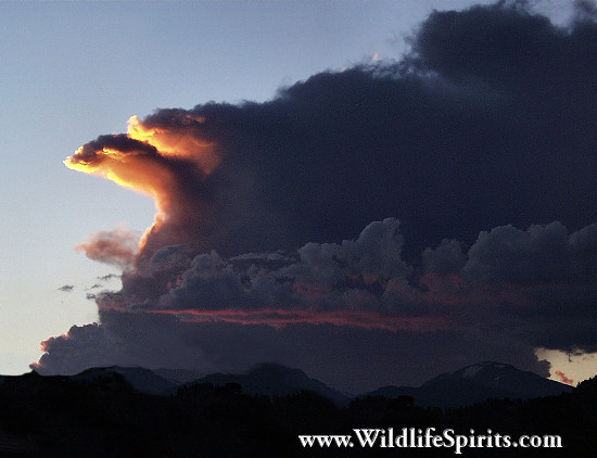 Click Picture to send as an  E-PostCard 53k 550x422